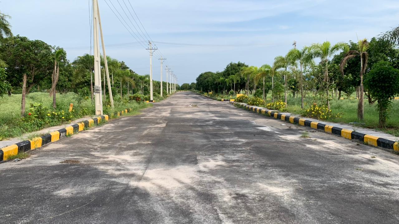 ever mark properties